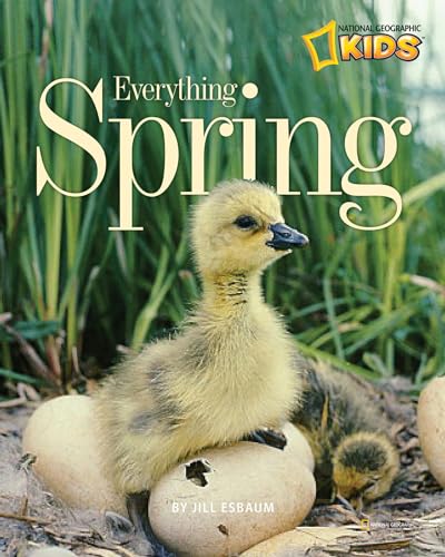Imagen de archivo de Everything Spring (Picture the Seasons) a la venta por AwesomeBooks