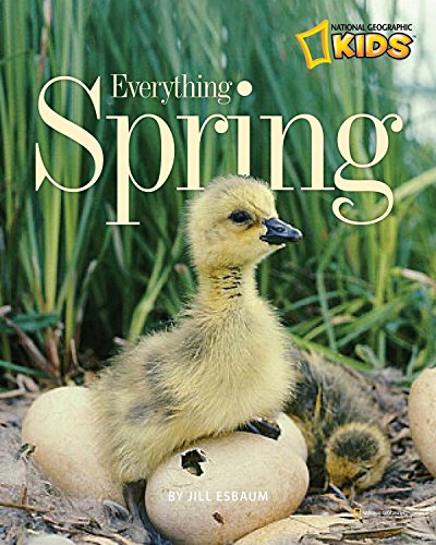 9781426306075: Everything Spring (Picture the Seasons)