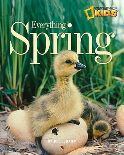 Stock image for Everything Spring (Picture the Seasons) for sale by AwesomeBooks