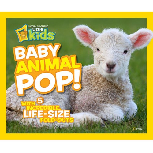 Beispielbild fr Baby Animal Pop! : With 5 Incredible, Life-Size Fold-Outs zum Verkauf von Better World Books