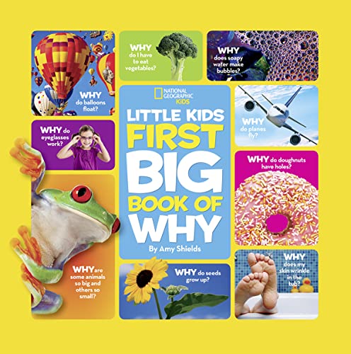 Stock image for Big Book of Why: All Your Questions Answered Plus Games, Recipes, Crafts & More! (National Geographic Little Kid) (First Big Book) for sale by AwesomeBooks