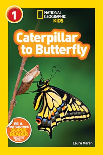 Beispielbild fr National Geographic Readers: Caterpillar to Butterfly zum Verkauf von BooksRun