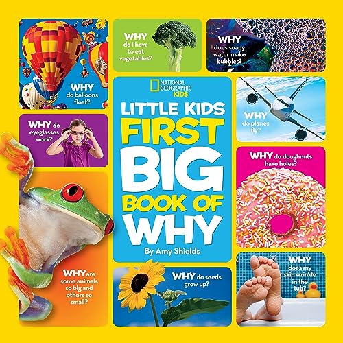 Stock image for Little Kids First Big Book of Why for sale by Better World Books: West