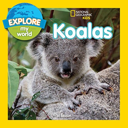 Beispielbild fr Explore My World Koalas zum Verkauf von Better World Books
