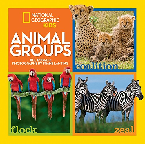 Beispielbild für Animal Groups zum Verkauf von SecondSale