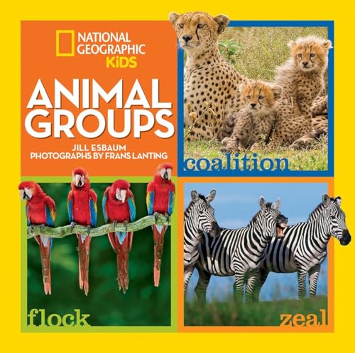 Stock image for Animal Groups (National Geographic Kids) for sale by HPB-Emerald