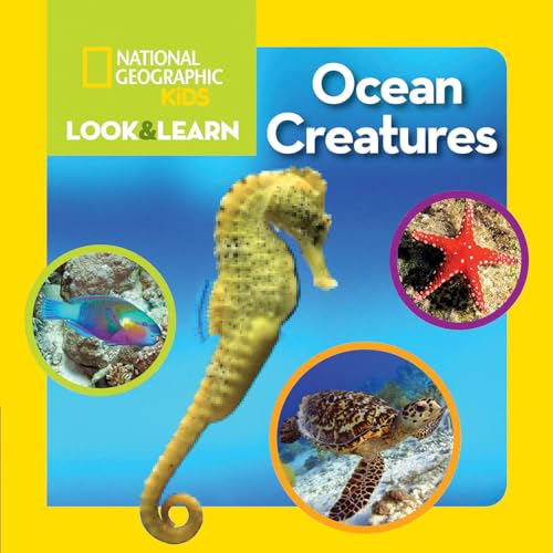 Stock image for National Geographic Kids Look and Learn: Ocean Creatures (Look & Learn) for sale by SecondSale