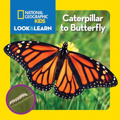 

National Geographic Kids Look and Learn: Caterpillar to Butterfly (Look & Learn)
