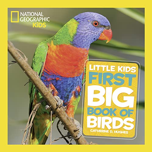 Stock image for National Geographic Little Kids First Big Book of Birds (National Geographic Little Kids First Big Books) for sale by ZBK Books