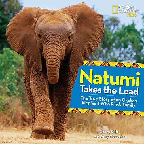 Imagen de archivo de Natumi Takes the Lead : The True Story of an Orphan Elephant Who Finds Family a la venta por Better World Books