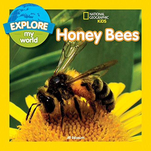 9781426327131: Explore My World: Honey Bees