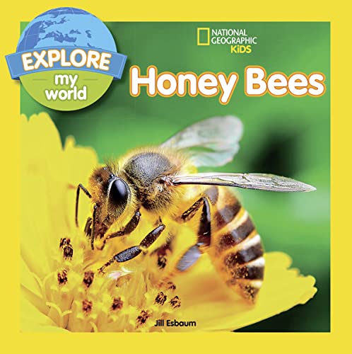 Stock image for Honeybees for sale by Blackwell's