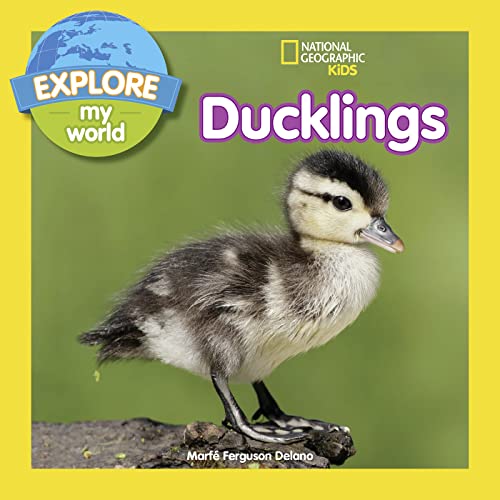 Stock image for Explore My World: Ducklings for sale by Better World Books