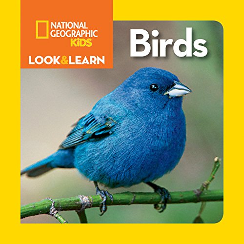 Beispielbild fr National Geographic Kids Look and Learn: Birds (Look & Learn) zum Verkauf von BooksRun