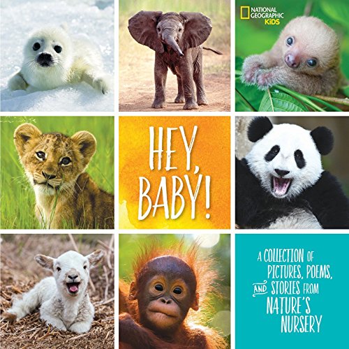 Stock image for Hey, Baby!: A Collection of Pictures, Poems, and Stories from Nature's Nursery (National Geographic Kids) for sale by SecondSale