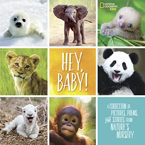 9781426329319: Hey, Baby!: A Collection of Pictures, Poems, and Stories from Nature's Nursery (National Geographic Kids)