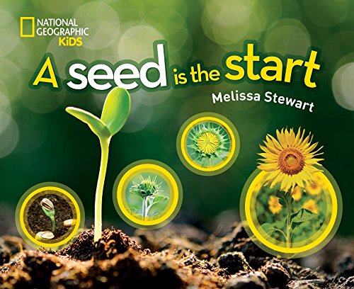 Imagen de archivo de A Seed is the Start a la venta por Dream Books Co.