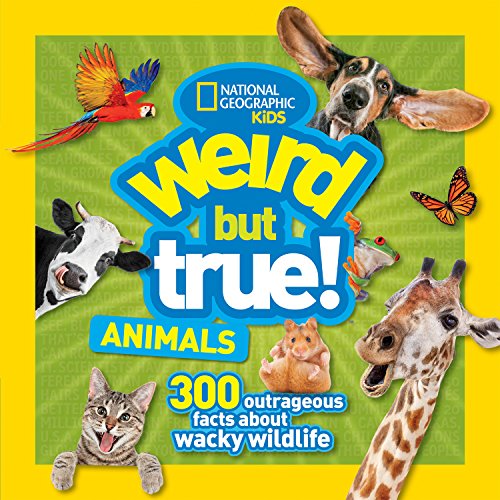Imagen de archivo de Weird But True Animals a la venta por SecondSale