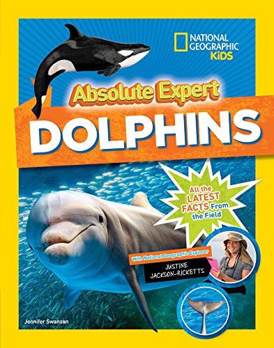 Imagen de archivo de Absolute Expert: Dolphins a la venta por SecondSale
