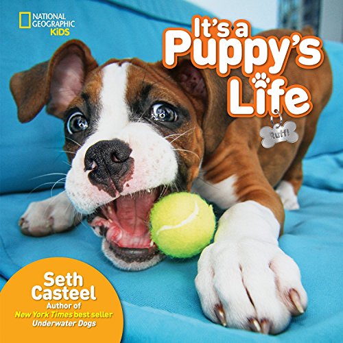 Stock image for It's a Puppy's Life for sale by Better World Books