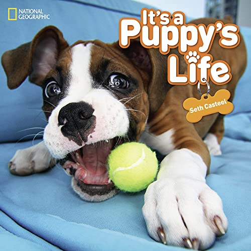 Stock image for It's a Puppy's Life for sale by Better World Books