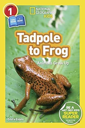 Beispielbild fr Tadpole to Frog zum Verkauf von Blackwell's