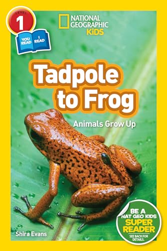 Beispielbild fr National Geographic Readers: Tadpole to Frog (L1/Co-reader) zum Verkauf von BooksRun