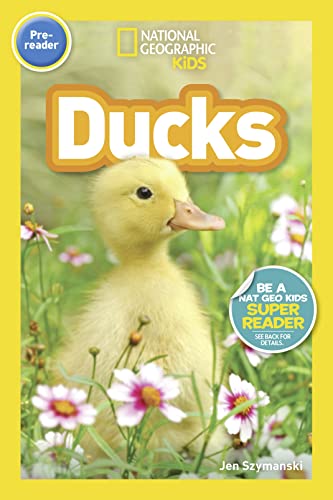 Stock image for National Geographic Readers: Ducks (Prereader) for sale by Reliant Bookstore