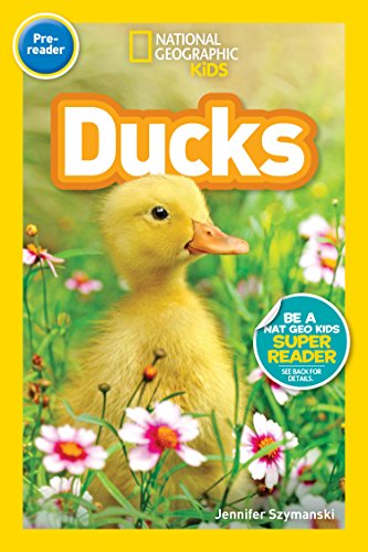 Stock image for National Geographic Readers: Ducks (Prereader) for sale by Bookoutlet1