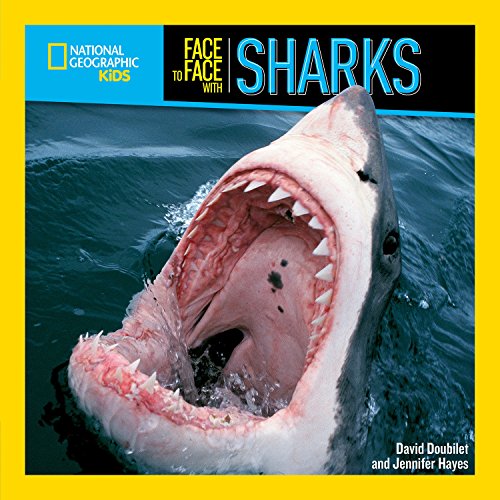 Imagen de archivo de Face to Face with Sharks (Face to Face with Animals) a la venta por Gulf Coast Books
