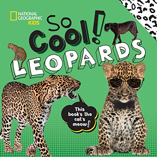 Imagen de archivo de So Cool! Leopards a la venta por Better World Books
