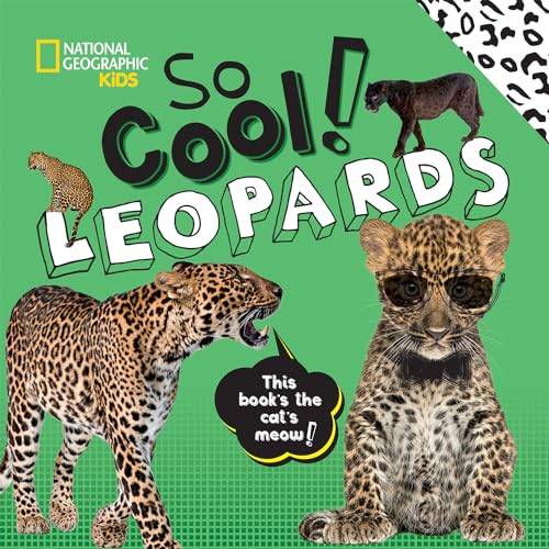 Imagen de archivo de So Cool! Leopards (Cool/Cute) a la venta por PlumCircle