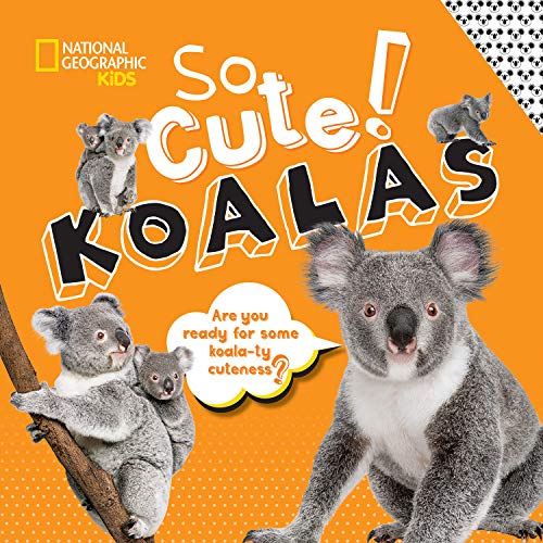 9781426335273: So Cute! Koalas