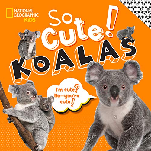 Stock image for So Cute! Koalas (Cool/Cute) for sale by SecondSale