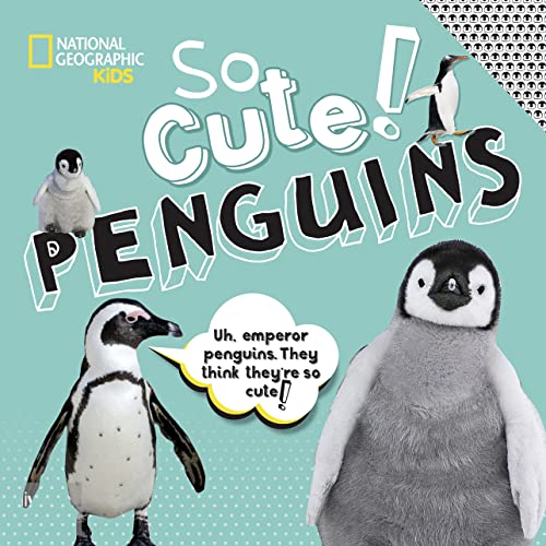 Beispielbild fr So Cute! Penguins zum Verkauf von Better World Books