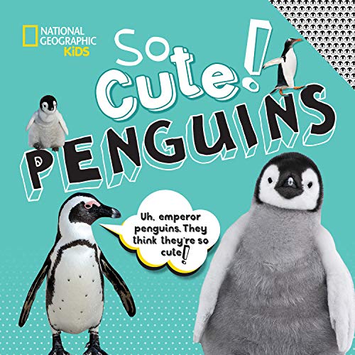 Imagen de archivo de So Cute! Penguins (Cool/Cute) a la venta por Jenson Books Inc