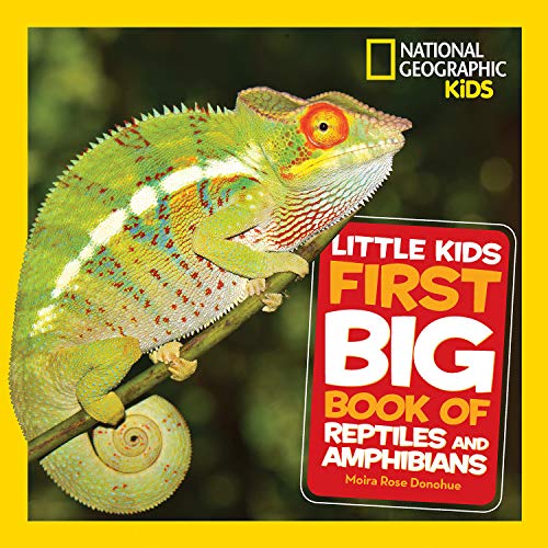 Imagen de archivo de Little Kids First Big Book of Reptiles and Amphibians (National Geographic Little Kids First Big Books) a la venta por Bookoutlet1