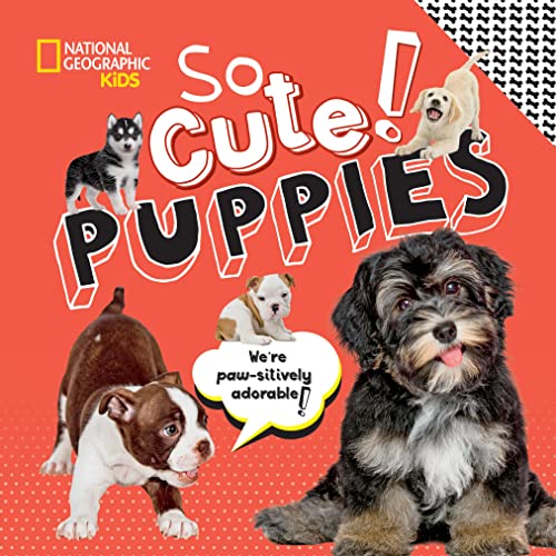 Beispielbild fr So Cute! Puppies zum Verkauf von Better World Books