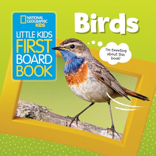 Stock image for Little Kids First Board Book: Birds (First Board Books) for sale by Hawking Books