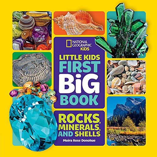 Stock image for National Geographic Little Kids First Big Book of Rocks, Minerals & Shells (National Geographic Little Kids First Big Books) for sale by Zoom Books Company