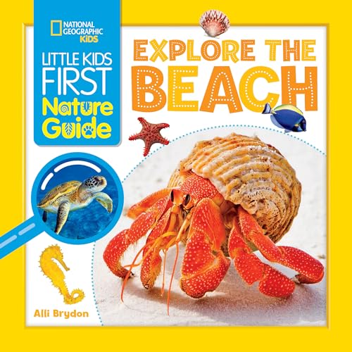 Stock image for Explore the Beach for sale by ThriftBooks-Dallas