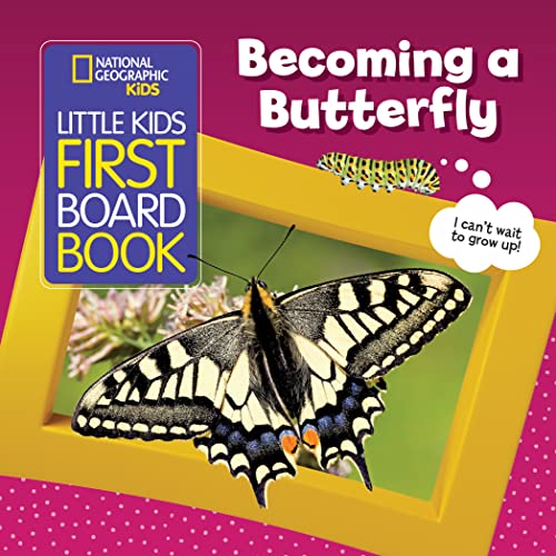 9781426374128: Little Kids First Board Book: Becoming a Butterfly