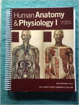 Stock image for Human Anatomy and Physiology I & Ii Laboratory (3rd Edition) Middlesex County College for sale by ThriftBooks-Atlanta