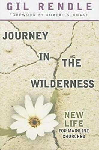 Stock image for Journey in the Wilderness: New Life for Mainline Churches for sale by Your Online Bookstore