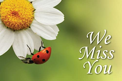 We Miss You Ladybug Postcard (Pkg of 25)