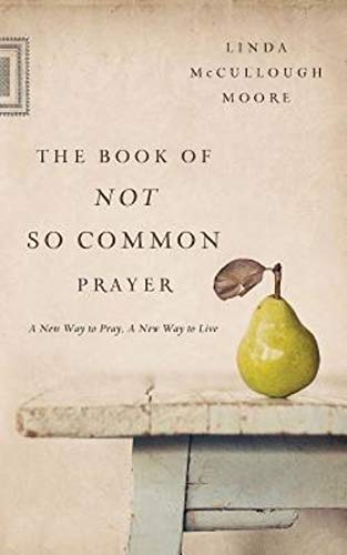 Beispielbild fr The Book of Not So Common Prayer : A New Way to Pray, a New Way to Live zum Verkauf von Better World Books