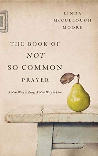 Stock image for The Book of Not So Common Prayer: A New Way to Pray, A New Way to Live for sale by Once Upon A Time Books