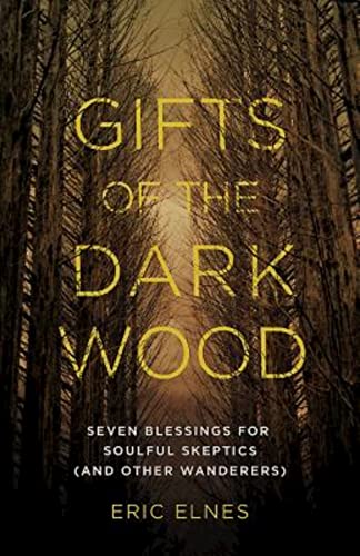 9781426794131: Gifts of the Dark Wood: Seven Blessings for Soulful Skeptics (and Other Wanderers)