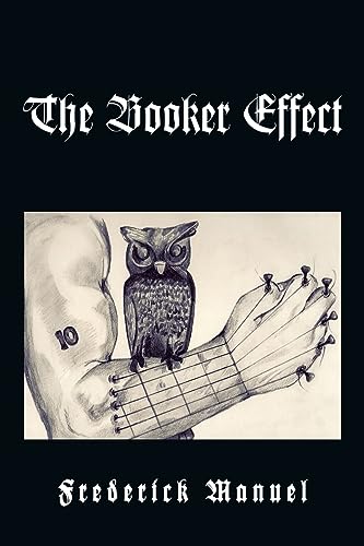 Imagen de archivo de The Booker Effect a la venta por Chiron Media