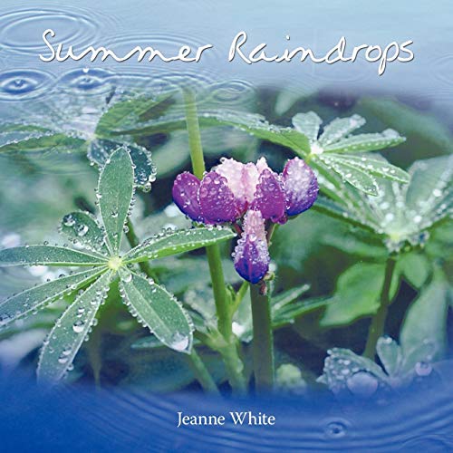 Summer Raindrops (9781426940897) by White, Jeanne